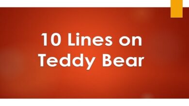 10 Lines on teddy bear in English