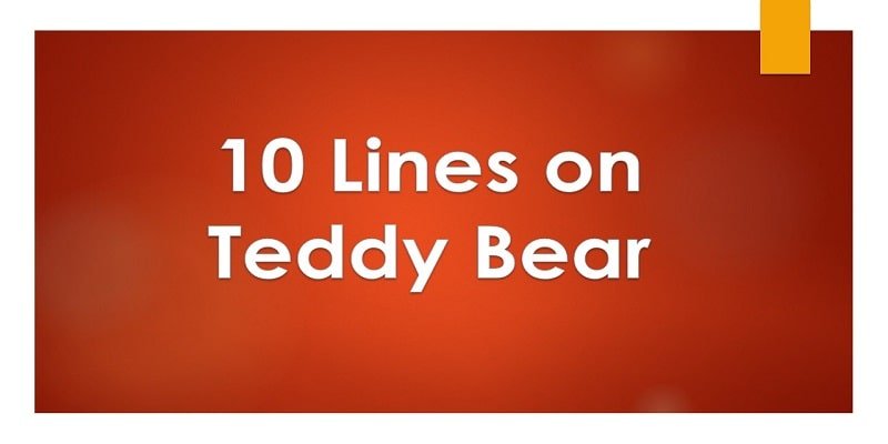 essay on my favourite toy teddy bear for class 2