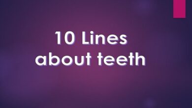 Few lines about teeth