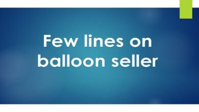 Few lines on balloon seller in English
