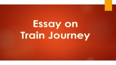 Journey by train essay