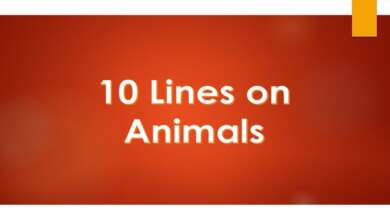 10 lines on animals