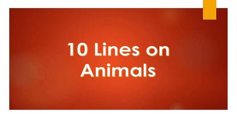 Few 10 Lines on Animals in English For Students and Children »
