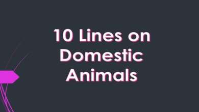 10 lines on domestic animals