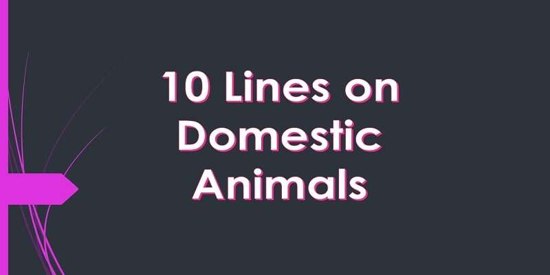 Few 10 Lines on Domestic Animals In English for Students and Children »