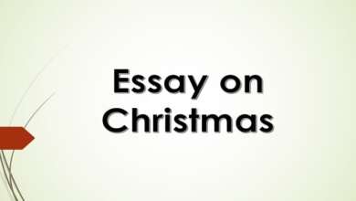 Essay on Christmas