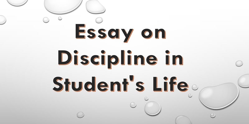 Essay on Discipline