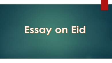Essay on Eid