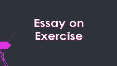 Essay on Exercise
