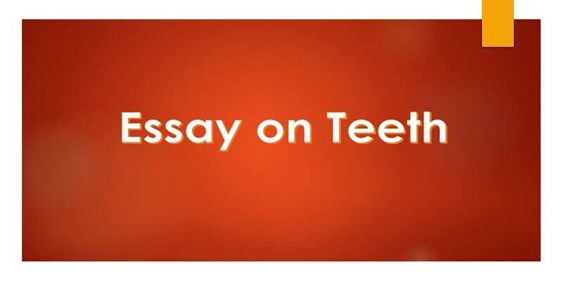 Essay On Teeth In 500 Words For Student EssayLearning