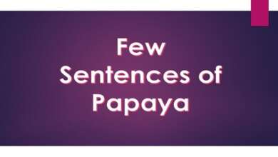 Few Sentences of papaya