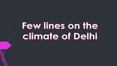Write few sentences on the climate of Delhi