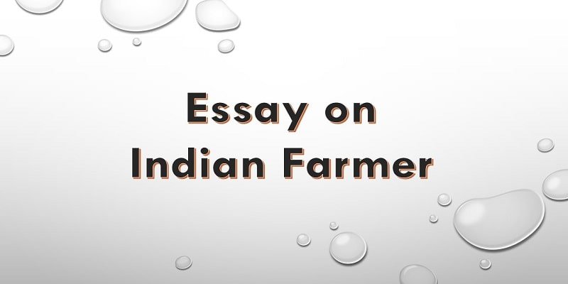 agriculture essay 500 words