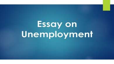 Essay on Unemployment