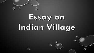 Essay on Village