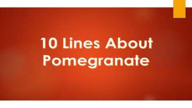 10 Lines About Pomegranate