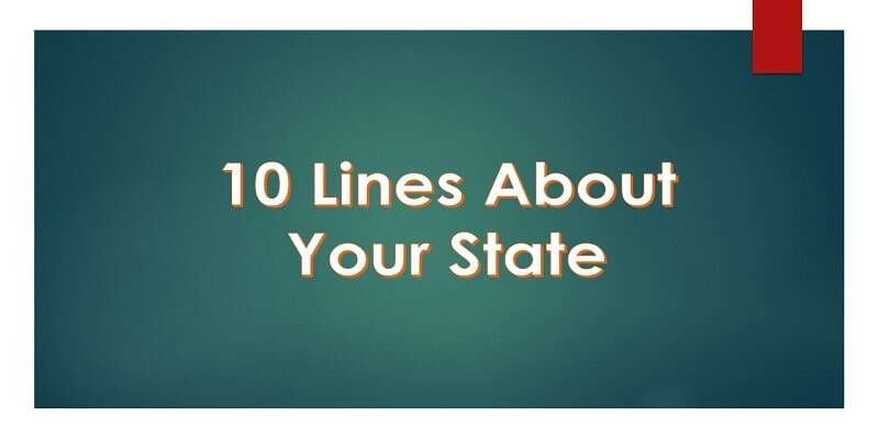 write-10-lines-about-your-state-in-english-for-kids-and-students