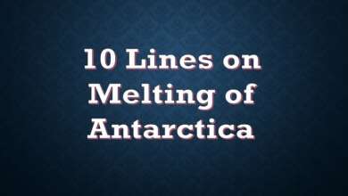 10 Lines on Melting of Antarctica