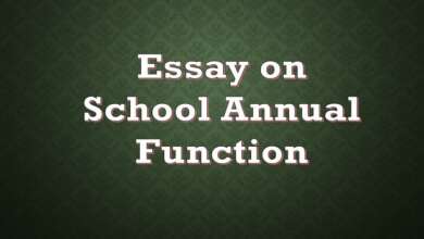 Essay on School Annual Function