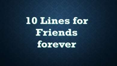 10 Lines for Friends forever