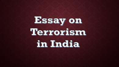 Essay on Terrorism in India