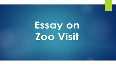 Essay on Zoo Visit