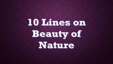 10 Lines on Beauty of Nature