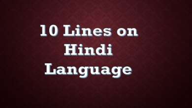 10 Lines on Hindi Language in English