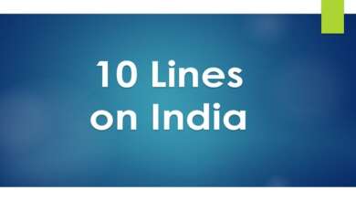 10 Lines on India
