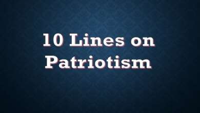 10 Lines on Patriotism