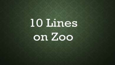 10 Lines on Zoo in english