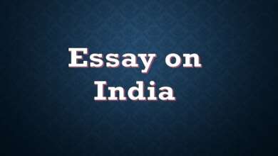 Essay on India