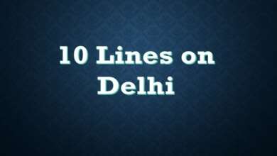 10 Lines on Delhi