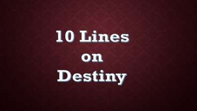 10 Lines on Destiny