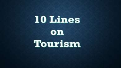 10 Lines on Tourism