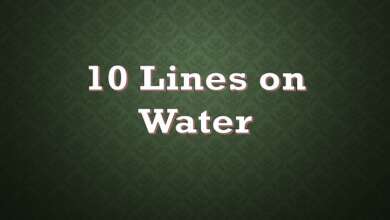 10 Lines on Water
