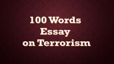 100 Words Essay on Terrorism