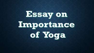 Essay On Importance Of Yoga