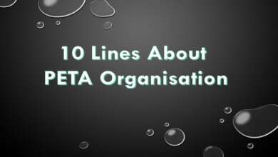 10 Lines About PETA Organisation