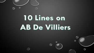10 Lines on AB De Villiers