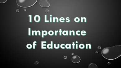10 Lines on Importance of Education