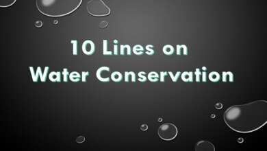10 Lines on Water Conservation