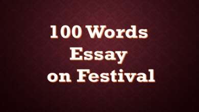 100 Words Essay on Festival