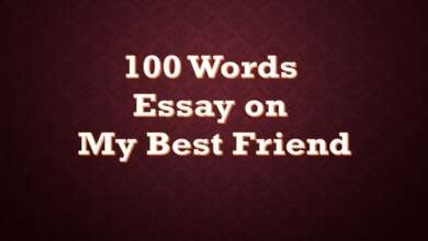 100 Words Essay on My Best Friend