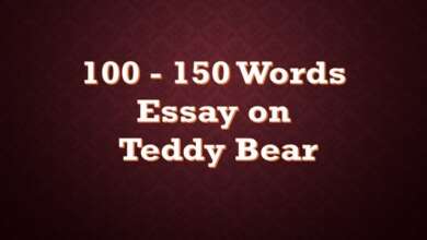 100 Words Essay on Teddy Bear