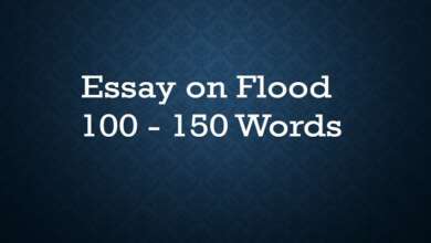 Essay on Flood 100 Words