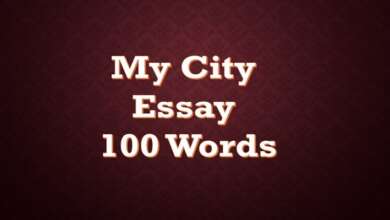 My City Essay 100 Words