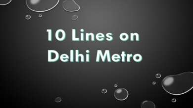 10 Lines on Delhi Metro