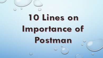 10 Lines on Importance of Postman