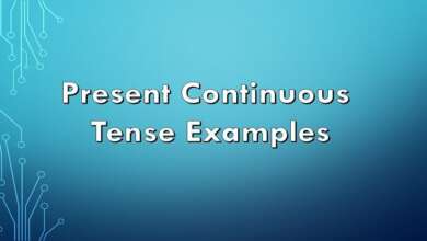 Present Continuous Tense Examples
